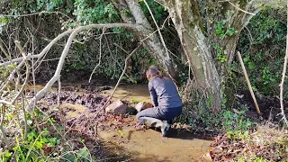 Arreglando la alberca de abajo para que no se pierdan los olivos