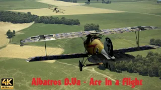 IL-2 Flying Circus: Albatros D.Va - Ace in a Flight