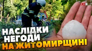 Повалені дерева, побиті будинки та відсутність світла: які наслідки залишила негода на Житомирщині