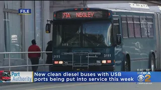 New Port Authority Buses