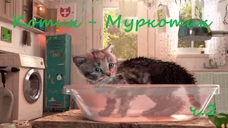 Котик-Муркотик ч.2/розвиваюче відео для дітей 3-6 років/цікаве заняття для дошкільнят/логіка розум