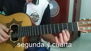 Por un poco de placer Luis AP - Tutorial Requinto