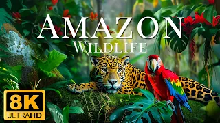 Amazon Animal Paradise 8K ULTRA HD - Relaxing Movie Beautiful Scenery And Inspirational Music