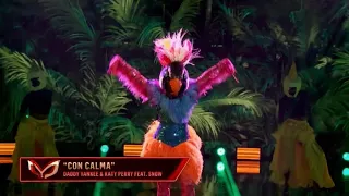 Exotic Bird Dances To "Con Calma" By Daddy Yankee And Katy Perry | Masked Dancer | S1 E1