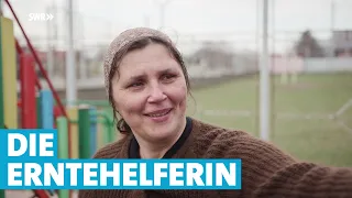 Die Erntehelferin | Mensch Leute | SWR Fernsehen