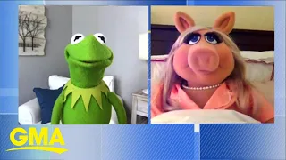 Kermit the Frog and Miss Piggy talk about their show ‘Muppets Now’ on Disney+ l GMA