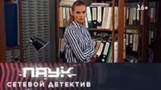 Паук. Сетевой детектив. Алёна