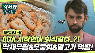 이제 시작인데 회식 같은 느낌..?! 제주의 명물 딱새우찜&모둠회&말고기 먹방~😋 l #어서와정주행​ l #MBCevery1 l EP.191-2