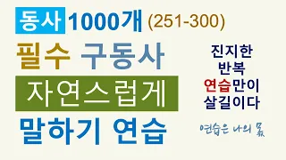 동사 1000 (251-300) / 구동사 자연스럽게 말하기 위해서는 구동사 사이에 대명사 사용 / 반복 연습만이 살길이다