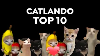 CATLANDO - TOP 10 🐱 (Best Cat Meme Videos)