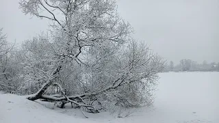 290. Как монаху безоценочно проходить через мiр