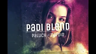 Benny Benassi Ft.Paluch - Cardio (PaDi Blend)