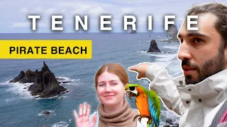 Road trip in Tenerife: Visiting the beach and sea landscape in the North