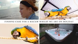 CAN YOU STILL GO ON HOLIDAY WITH A MACAW? | HOLIDAY VLOG PART 1 | SHELBY THE MACAW