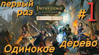 Замечательная RPG  Pathfinder: Kingmaker. Часть 1. Я новичок в подобных играх)