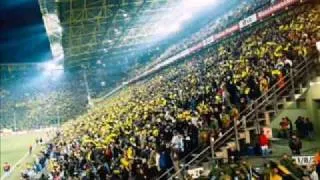 Schwarz Gelbe Borussia und die BVB Fans
