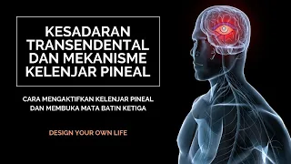 TERNYATA BEGINI MEKANISME AKTIVASI KELENJAR PINEAL HINGGA MEMBUKA MATA BATIN KETIGA ALIAS INDRA KE-6