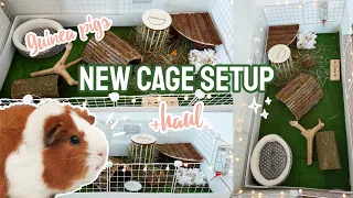 New Guinea Pig Cage Setup + Haul! - Natural C&C Cage 🐹🍄🌿