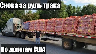 Снова сел за руль трака. Дальнобой по США