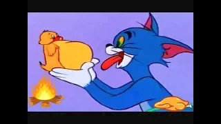 Tom and Jerry | Mucho Mouse | Cartoon For Kids