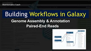 Galaxy Tutorials | Building a a Workflow for Genome Assembly and Annotation