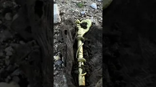 treasure hunt / metal detector found GOLD KING COBRA in Preserved Roman Ruin #shorts #metaldetecting