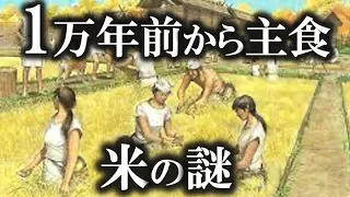 【ゆっくり解説】お米の歴史と稲作伝来の謎！縄文時代からすでに米を食べていた！！