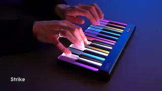 Play in four expressive dimensions with LUMI Keys Studio Edition