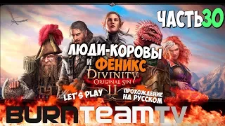 Divinity: Original Sin 2. Часть 30 - Люди-Коровы и Феникс... (Прохождение игры)