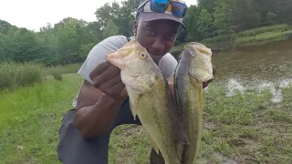 Bass fishing on Cinco de Mayo 2024