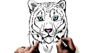 How To Draw A Snow Leopard | Step by Step
