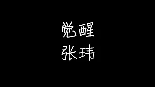 张玮 - 觉醒 (动态歌词)