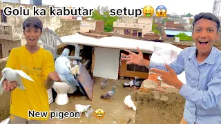 Golu ka pigeon 🕊️house 🏠 setup 😱🤩!! Golu ne bhi paal liye kabutar 🤩🤑