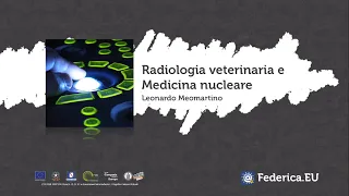 La radiologia veterinaria -  Unit 1 -  Lezione 1