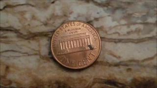 CHEQUEA tu MONEDA de ONE CENT 1998