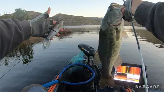 AGGRESSIVE BASS SMASH BIG GLIDE BAITS AND A-RIGS  KGB CHAD SHAD