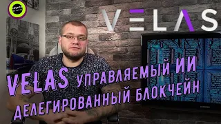 VELAS - Управляемый ИИ делегированный блокчейн