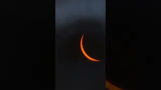 El eclipse solar confunde a un gallo