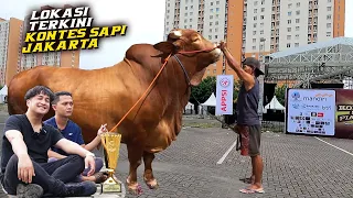 Update Lokasi Kontes Sapi Jakarta, Setia Farm Jadi Seponsor Akankah Bawa Kejutan