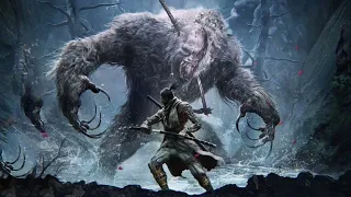 WELCOME TO THE GUARDIAN APE DUO(SEKIRO)