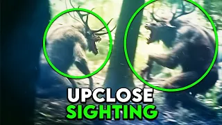 Must-See Trail Cam Footage That Shocked Everyone