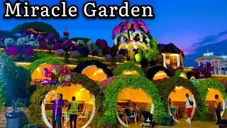 Miracle Garden Dubai [4k] Night Walking Tour