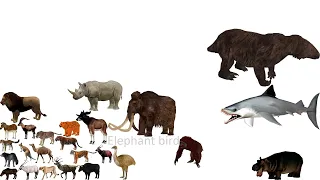 Extinct animals size comparison without music