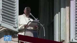 Il Papa si scusa per aver perso la pazienza con la fedele : "Ho dato un cattivo esempio"