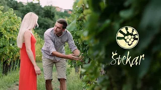 HiŠa Štekar - home of organic wine