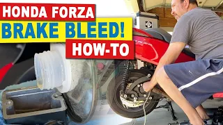 Honda Forza 300 How-To Flush/Bleed Brakes (NSS300)