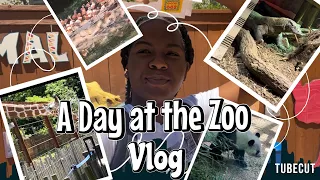 A Day At The Zoo🐼🦍🦒