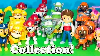 Where is the Engineering Family Paw Patrol Toy Collection