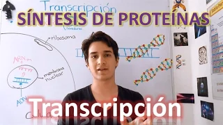 Transcription (Protein Synthesis) high level IN 7 MINUTES