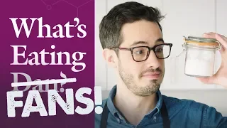 What’s Eating Fans? | Dan Responds | Ginger & Salt | What’s Eating Dan?